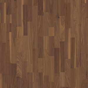 Orah PWP 3-strip